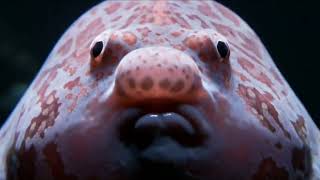 AI generator video the digital world AI in future