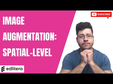 How to Apply Spatial-Level Transformations to Images