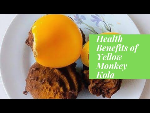 The Health Benefits Of Yellow Monkey Kola | The Nutritional Content Review