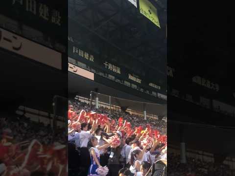 慶応応援　烈火#高校野球 #応援 #甲子園 #アルプス #慶応 #烈火#陸の王者
