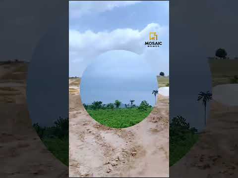 You know how important investments are, and  then this are  reasons why you should invest.