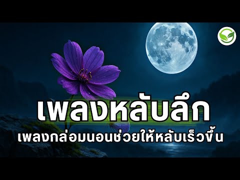 หลับลึกในอ้อมกอดของความสงบ ช่วยให้สมองคลายตัว และหลับได้ง่ายขึ้น เพลงหลับลึก เพลงกล่อมนอนผู้ใหญ่ 