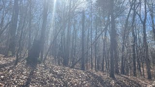 Breathless Beauty: Exploring Nature on a 6.5 Mile  Run Hike