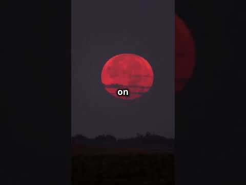 Tonight’s Biggest Supermoon of 2024! Don’t Miss the Hunter’s Moon #youtubeshorts #supermoon2024