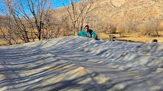 “Building a Hut for the Return of Her Lost Children; Farideh’s Hope in the Midst of Poverty ”