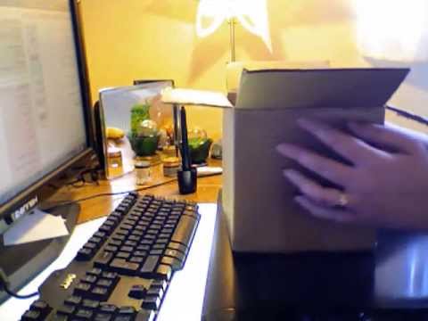 ASMR Show & Tell - Poem & Wedding Talk
