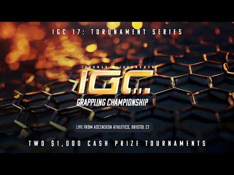IGC 17