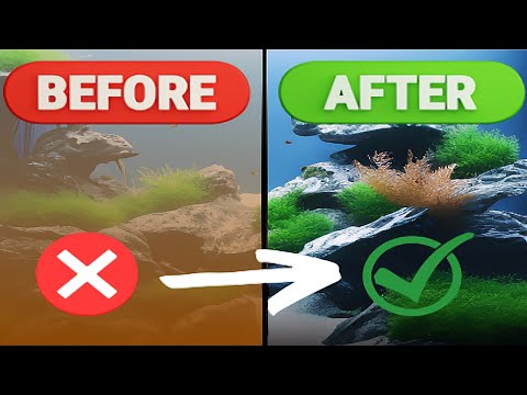 10 Proven Secrets To Crystal Clear Aquarium Water 2023