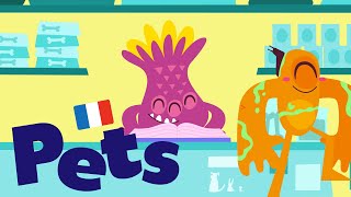 Pets in French 🇫🇷 - Learn French