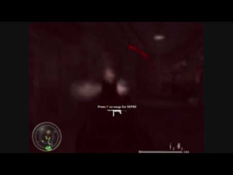 Call of Duty World at War Review 8600GT