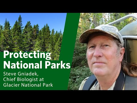 Steve Gniadek, Chief Biologist at Glacier National Park Protecting Old Growth Forests