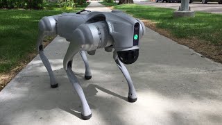 New Atlas tries out the Unitree Go2 Pro quadruped robot