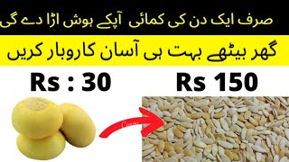 melon seeds business | new business ideas 2022 | high profit business idea | #earningfromhome