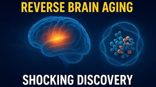 Scientists Discover Protein That Reverses Brain Aging! (Shocking Study)