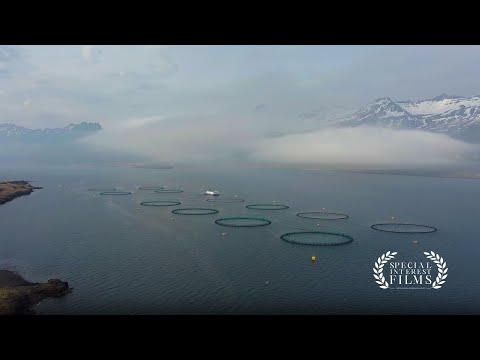 Driving Aquaculture's Sustainable Growth