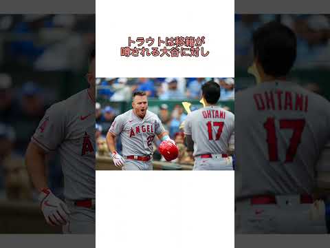 Trivia about Trautani #Baseball #Shohei Ohtani #Trautani #Shorts