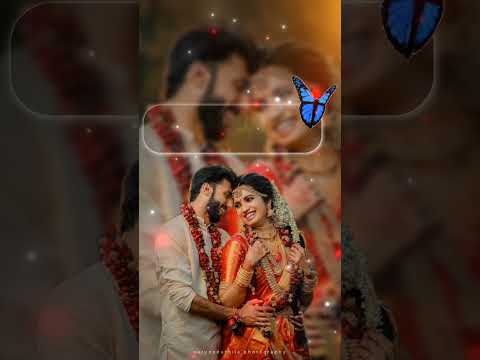 Dil ki sar jami pe #shots #trending #youtubeshorts #couplegoalsgoodnighthug #whatsapp status video