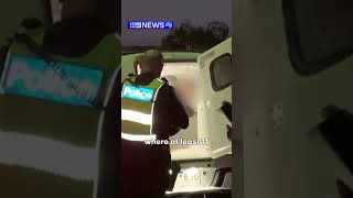 Man arrested over alleged kangaroo killings | 9 News Australia