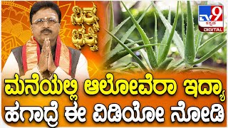 Daily Devotional | ಮನೆಯಲ್ಲಿ ಆಲೋವೆರಾ ಇದ್ಯಾಹಗಾದ್ರೆ ಈ ವಿಡಿಯೋ ನೋಡಿ | #TV9D
