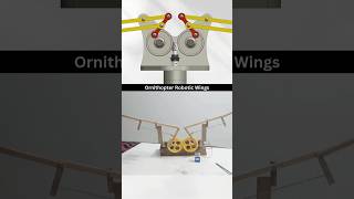 Ornithopter Robotic Wings - Mechanical Principle ✅🤩 #caddesign #solidworks #flyingbird #birds #cad