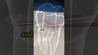 What are Endondontics? 🦷💉#trulydental #dentist #endodontist #qanda #teeth #rootcanal