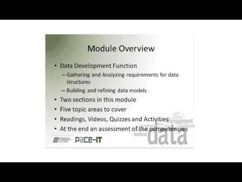 module 4 Intro