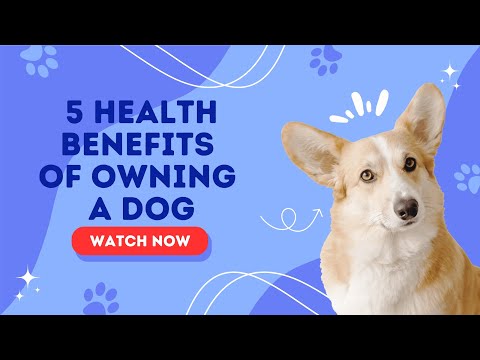 Benefits you didn’t know about caused by owning a dog