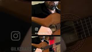 Amazing Guitar Technicals “Flamenco”