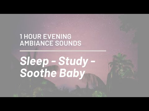 EVENING SOUNDS | Sleep | Study | Soothe Baby | 1 Hr | #theta #whitenoise #sleepfast #babysleepmusic
