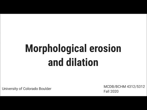 Morphological erosion and dilation