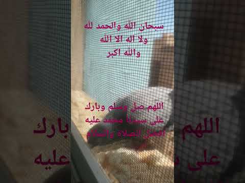 جمعتكم مباركة ومعطرة بذكر الله والصلاة على رسول الله صلى الله عليه وسلم #جمعة_مباركة #crazyfrog