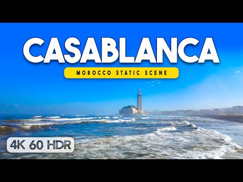🇲🇦 View of the Hassan II Mosque on the Sea - Casablanca, Morocco Static Scene - 4K 60FPS HDR