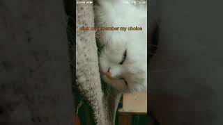How to Install #ios in #android #H.A.K Technological Gamer #shorts