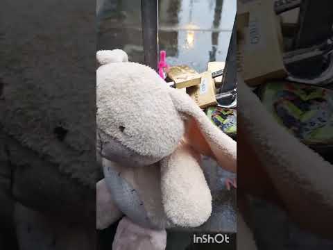 London #Trafalgar Square #London #Westminster #bigben