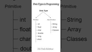 Data Types in Programming | Quick Overview with Diagram