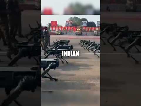 Military Robotic Dog! 😱🤯