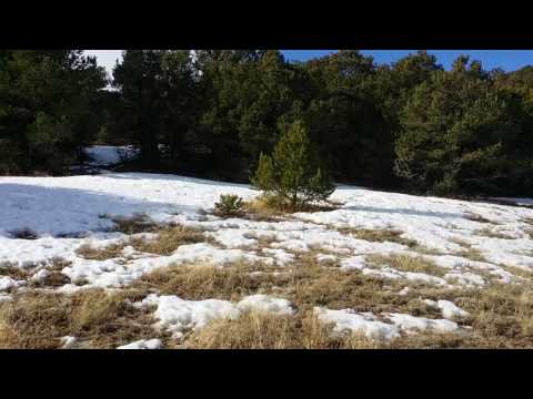 25 acres APN30970 - On Site 7