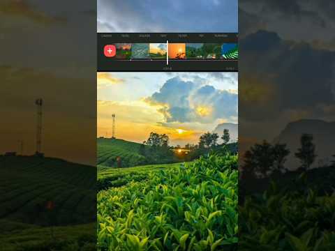 Instagram reels video tutorial #shorts #trending #viral