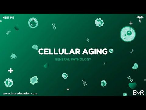 Cellular Aging | General Pathology