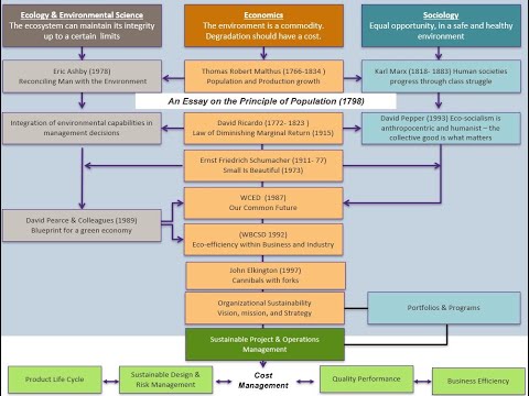 The Basics of Sustainability in Organizations