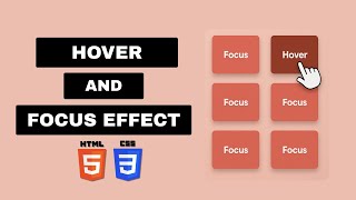 Learn CSS Hover and Focus Effects | CSS Tutorial