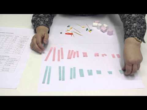 Genetics - Reebop (Afrikaans)