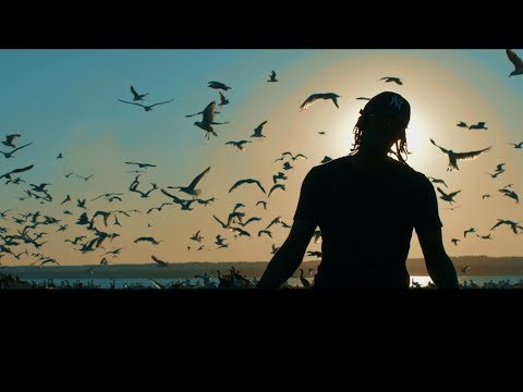 Notifi - Won't Get Lonely  (Official Video)