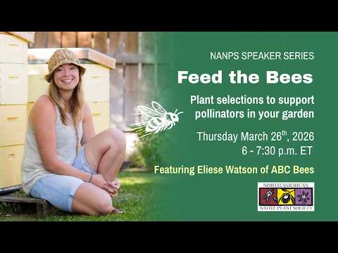 Feed the Bees with Eliese Watson - March 2026