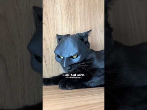 Black Cat Core. 😺 😺