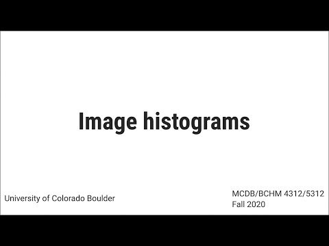 Image histograms