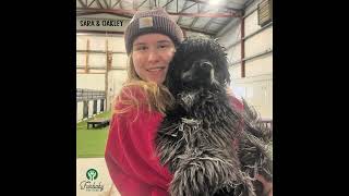 FURBABY PET CARE MARCH 2024