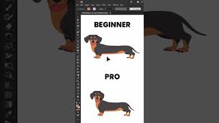 Beginner vs Professional Graphic Designer | Adobe Illustrator Tutorial