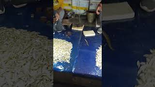 #fish#market #store #short #viralvideo #youtube #Tech barmon@KasaBangla