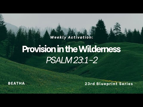 Weekly Activation: Provision in the Wilderness